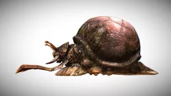 Snail
