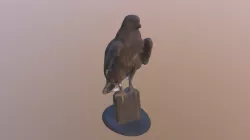 Spicy Bird Model