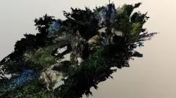 Test - Garden