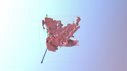 Test5