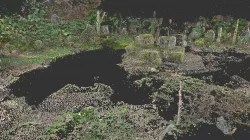 The japanese natural landscape