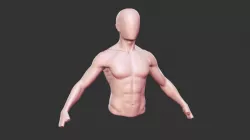 Torso 01
