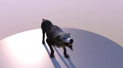 Wolf animation