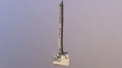 Wooden Branch