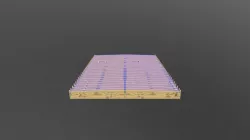 10000