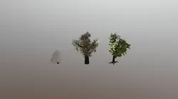 Arboles