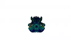 Baurusuchus Wrl