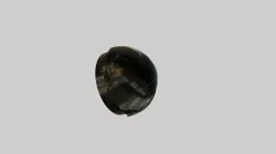Bottom
