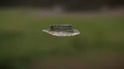 Cattle Trough - La Teulière - France