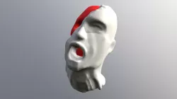 DP head