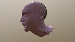 DP V3