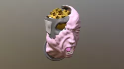 DP V4