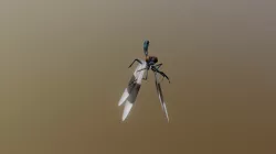 Dragonfly