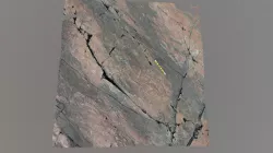 Ediacara fossils at Mistaken Point