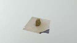Fossil