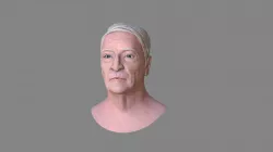 Head Bust Textured