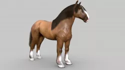 HORSE [DRAFT HORSE]
