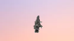 Iron Dragon