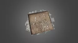 Late Archaic Basin Feature