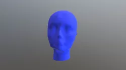 Mask Model