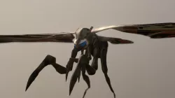 MOTHRA