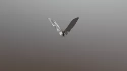 MOTHRA Rig Test