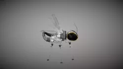 RoboBee