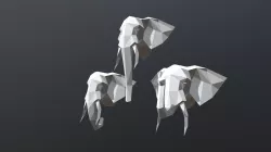 SLONS