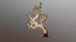Smoak Tree Concept