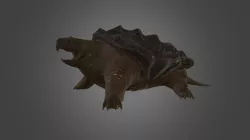 Alligator Snapping Turtle