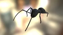 Ant