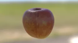 Apple Photogrammetry