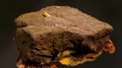 Big rock 2