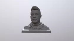 Busto Luca