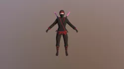 CC Female Ninja