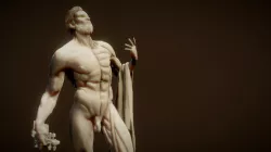 Contrapposto Anatomy