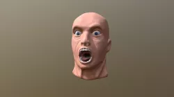 DIGITAL PRISON Human Face Remake