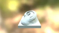 Ear