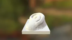 Ear
