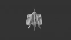 Ethmoid bone