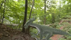 Fantasy Dinosaur