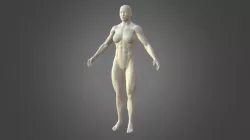 Female Bodybuilder Shaded