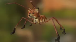 FireFox