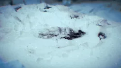 First Snow!