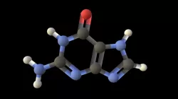 Guanine