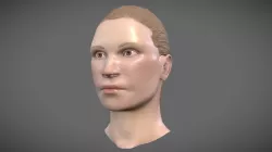 Head Study
