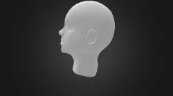 Human Head - test