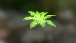 Low poly plant