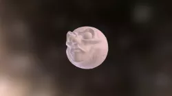 Moonface