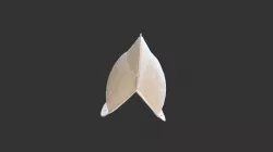 Morion